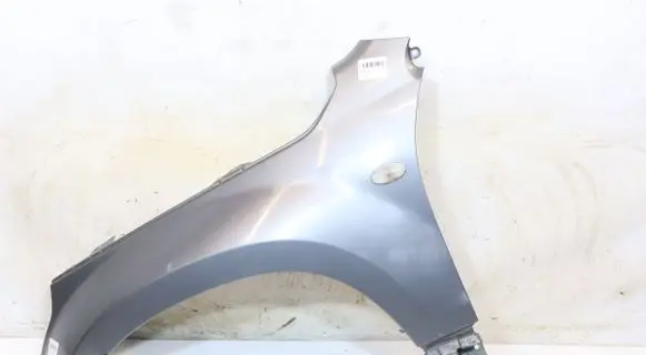 Suzuki Grand Vitara II Fender 