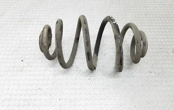 Volkswagen PASSAT B5.5 Rear coil spring