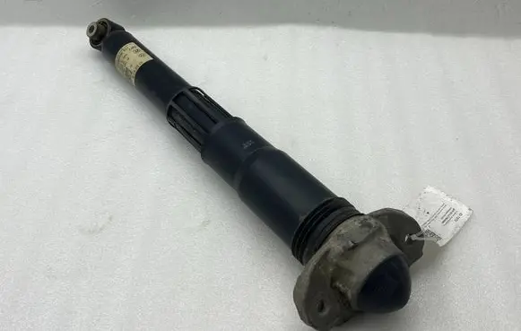 Volkswagen ID.4 Rear shock absorber/damper 1EA512013BC