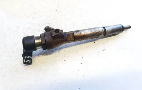Renault Megane II Fuel injector 8200380253