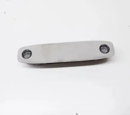 Tesla Model 3 Front seat light 109257591H