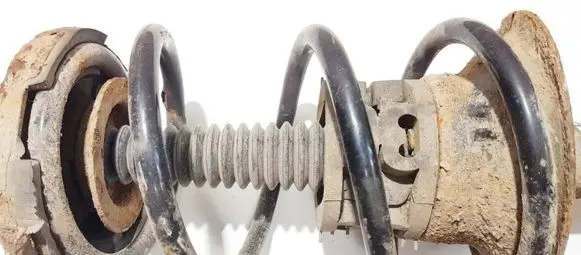 Front coil spring