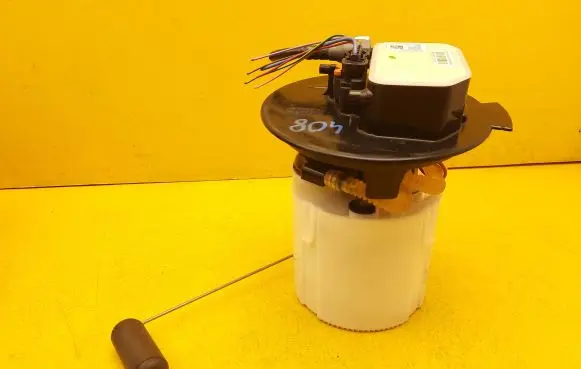 Peugeot 408 P54 In-tank fuel pump 9834087480
