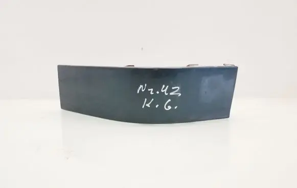 Rear/tail light trim molding