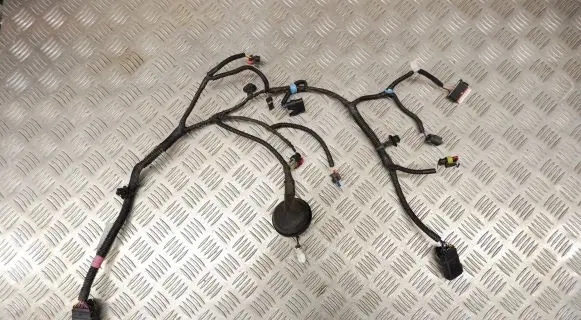 Tesla Model 3 Other wiring loom 256796100B