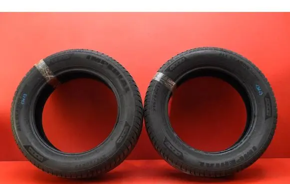 Nissan Qashqai R17 C winter tire