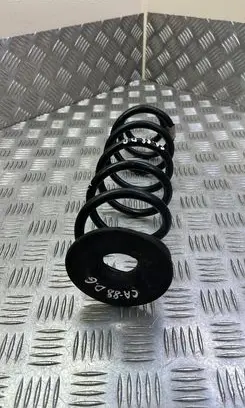 Skoda Octavia Mk3 (5E) Rear coil spring