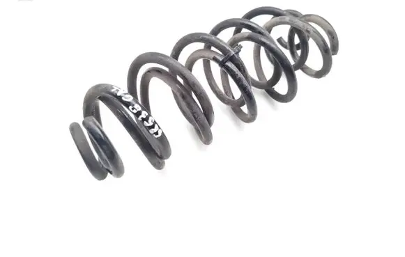 Rear coil spring