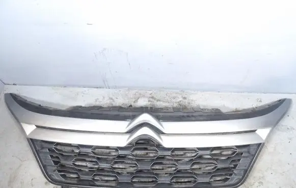 Citroen Jumper Front grill 1315804070