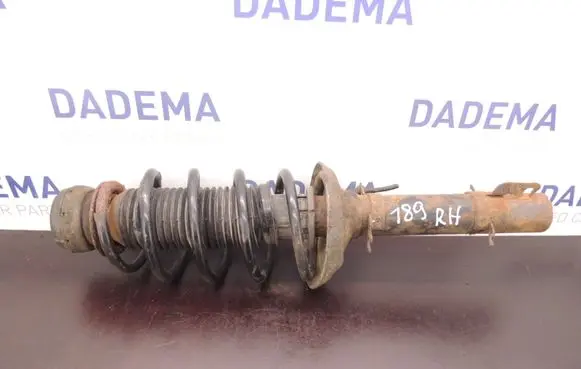Seat Leon (1M) Front shock absorber with coil spring 1J0413031BJ D189