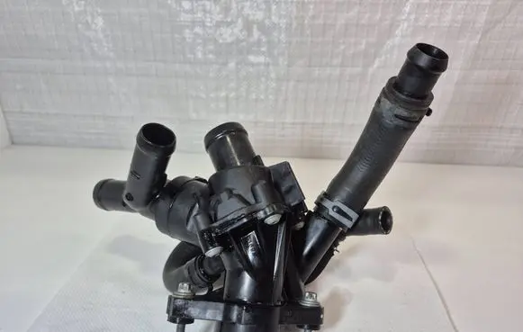 Thermostat/thermostat housing
