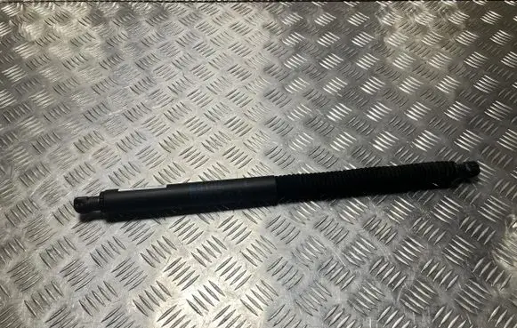 BMW X3 G01 Tailgate strut 7397319