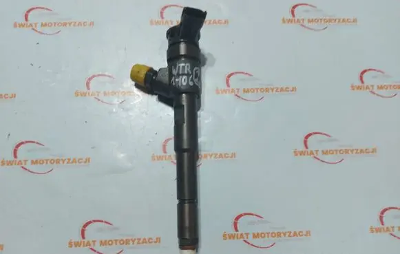 Renault Clio III Fuel injector 0445110652