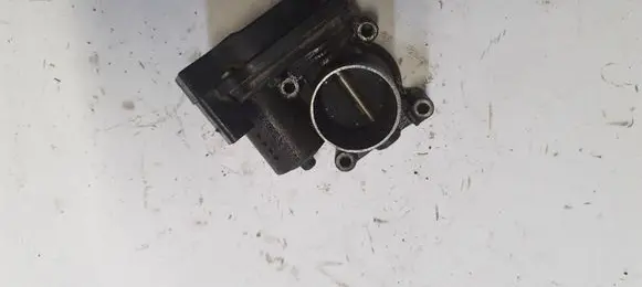 Skoda Fabia Mk2 (5J) Throttle valve A2C53060088