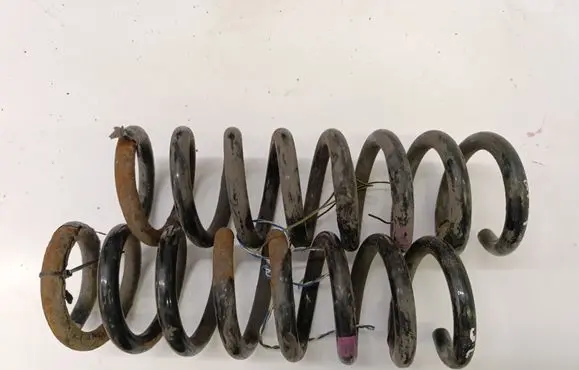 Rear coil spring