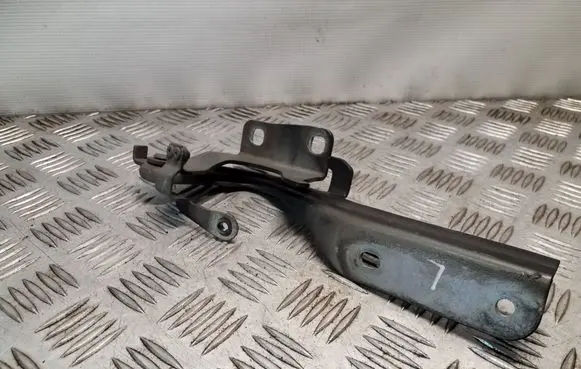 Nissan Juke I F15 Engine bonnet/hood hinges