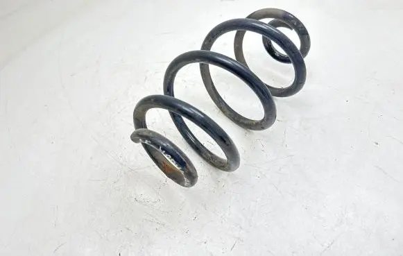 Renault Modus Rear coil spring