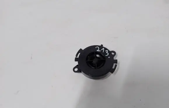 Front door high frequency speaker