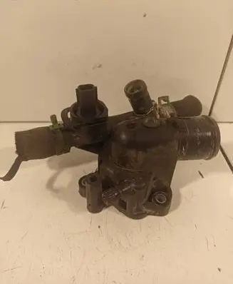 Thermostat/thermostat housing