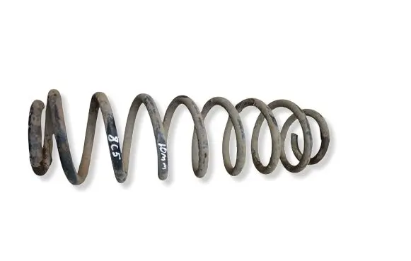 Skoda Fabia Mk1 (6Y) Rear coil spring 