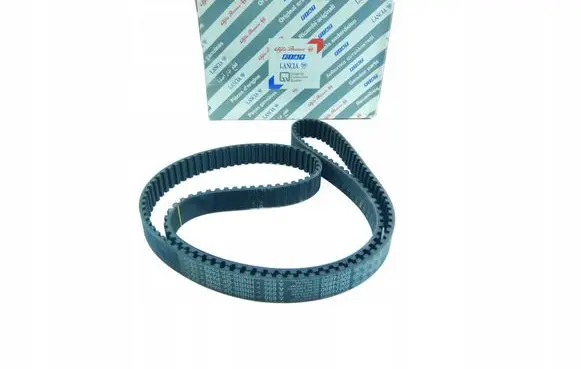 Fiat Punto (199) Timing belt 71719648