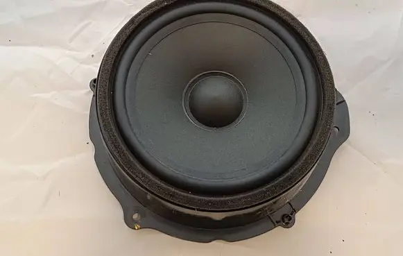 Rear door speaker