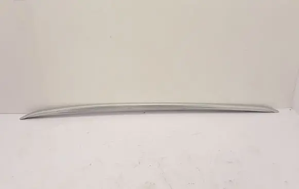 Renault Scenic IV - Grand scenic IV Roof bar rail 738211587R