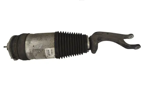 Tesla Model S Air suspension front shock absorber 106736125C W309250100