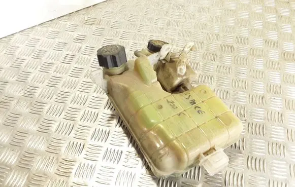 Renault Espace - Grand espace IV Coolant expansion tank/reservoir 8200339746B