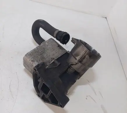 BMW 5 E39 Engine oil radiator 2247204