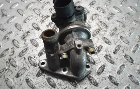 Volkswagen Phaeton EGR valve 022131119B