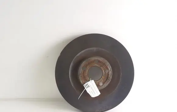 Ford Mustang Mach-E Front brake disc LJ9C1125ENB