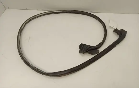 Ford Mustang IV Rubber seal front coupe door SNHTV9L2