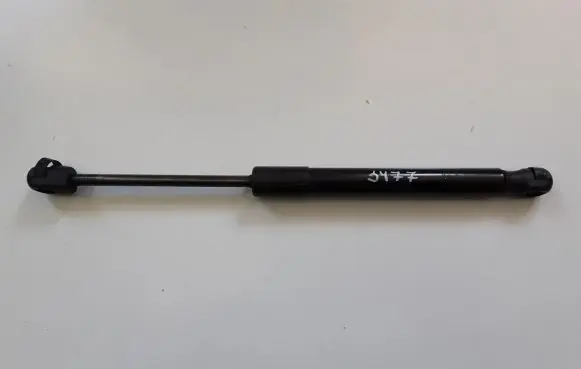 Tailgate strut