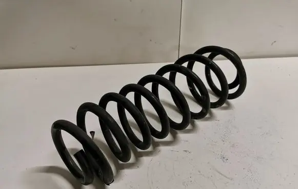 Ford Mustang V Rear coil spring BR335560CB