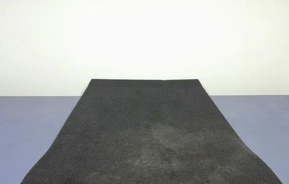 BMW M5 Front floor carpet liner 7373562