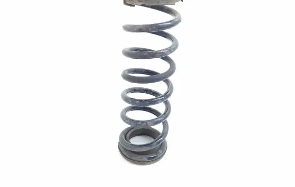 Citroen C-Crosser Rear coil spring