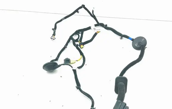 KIA Niro Front door wiring loom 91616G5320