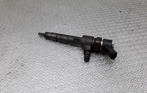 Fiat Punto (188) Fuel injector 0445110019