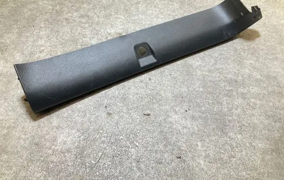 Rear/tail light trim molding