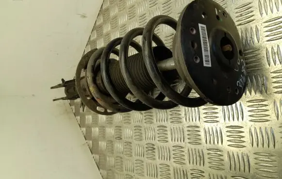 Ford S-MAX Front shock absorber with coil spring E1GC18045