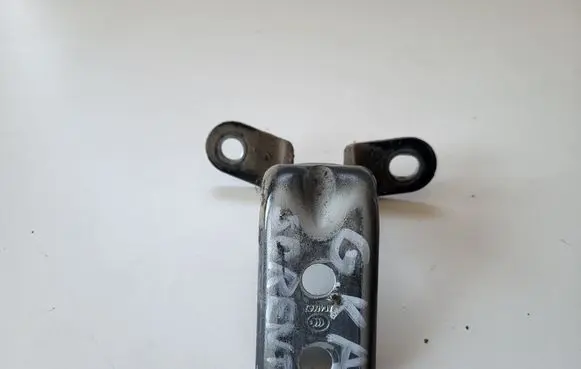 KIA Sorento Rear door lower hinge