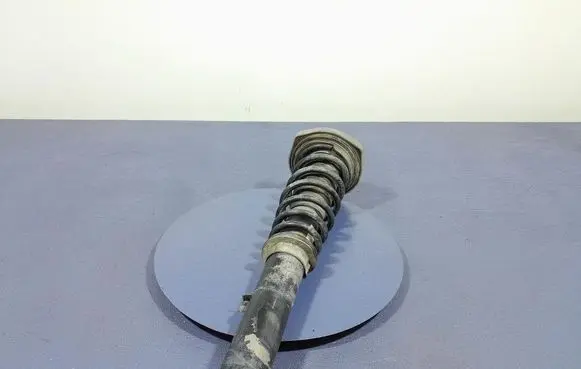 Porsche Cayman 981 Front shock absorber/damper 982412019B