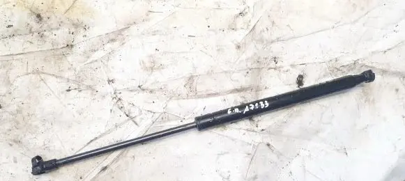 Tailgate/trunk strut/damper
