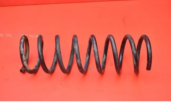 Rear coil spring