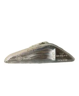 BMW X5 E70 Front fender indicator light 7171007