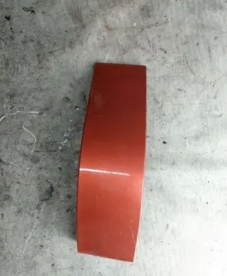 Rear/tail light trim molding