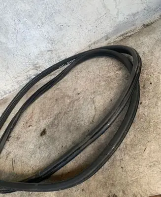 Nissan Juke I F15 Rubber seal front coupe door 