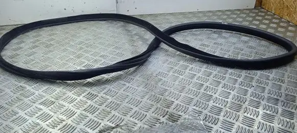BMW X6 F16 Rear door rubber seal (on body) 7317822