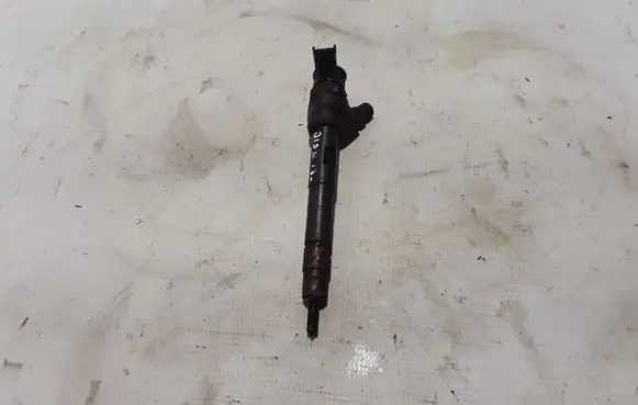 Land Rover Discovery Sport Fuel injector G4D39K546AA